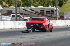 yellow-bullet-fri-397