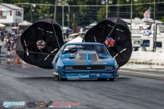 yellow-bullet-fri-400