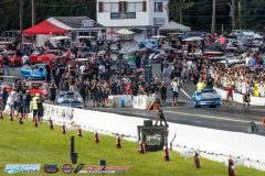 yellow-bullet-fri-402