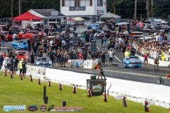 yellow-bullet-fri-403