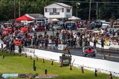 yellow-bullet-fri-415