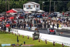 yellow-bullet-fri-416