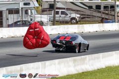 yellow-bullet-fri-418