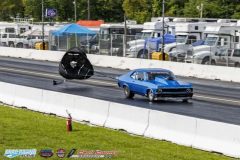 yellow-bullet-fri-432