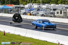 yellow-bullet-fri-433