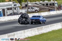 yellow-bullet-fri-435