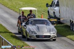 yellow-bullet-fri-438