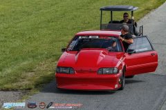 yellow-bullet-fri-441