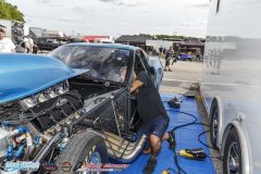 yellow-bullet-fri-453