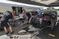 yellow-bullet-fri-46