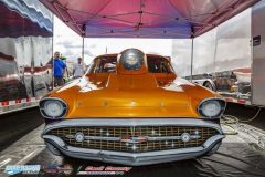 yellow-bullet-fri-462