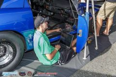 yellow-bullet-fri-463