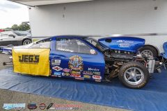 yellow-bullet-fri-468