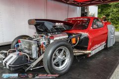 yellow-bullet-fri-471