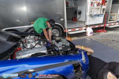 yellow-bullet-fri-476