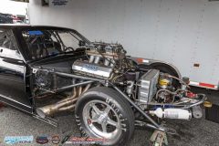 yellow-bullet-fri-479