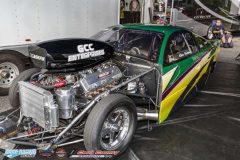 yellow-bullet-fri-481