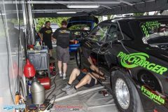 yellow-bullet-fri-482