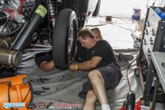 yellow-bullet-fri-485