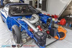 yellow-bullet-fri-487