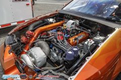 yellow-bullet-fri-488