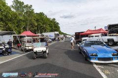 yellow-bullet-fri-490