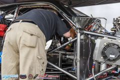 yellow-bullet-fri-493