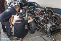 yellow-bullet-fri-497