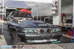 yellow-bullet-fri-499