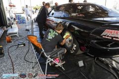 yellow-bullet-fri-50