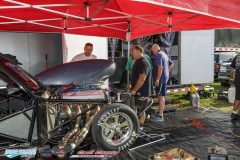 yellow-bullet-fri-509