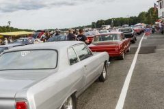 yellow-bullet-fri-527