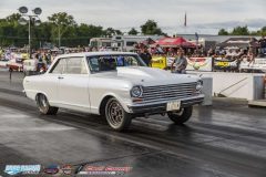 yellow-bullet-fri-536