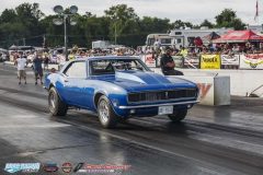 yellow-bullet-fri-540