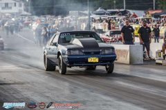 yellow-bullet-fri-548