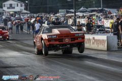 yellow-bullet-fri-549