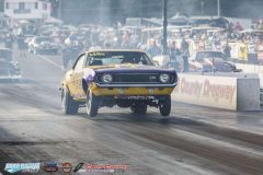 yellow-bullet-fri-551