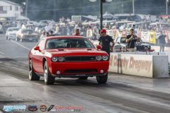 yellow-bullet-fri-558