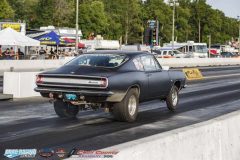 yellow-bullet-fri-560