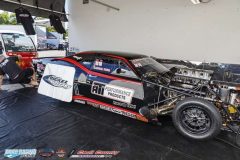 yellow-bullet-fri-59