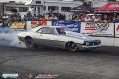 yellow-bullet-fri-624