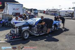 yellow-bullet-fri-64