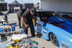 yellow-bullet-fri-71