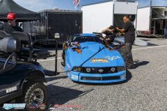 yellow-bullet-fri-73