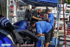 yellow-bullet-fri-77