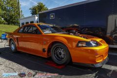 yellow-bullet-fri-80