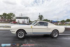 yellow-bullet-sat-103