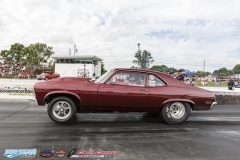 yellow-bullet-sat-113