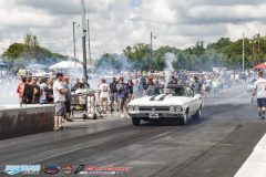 yellow-bullet-sat-165