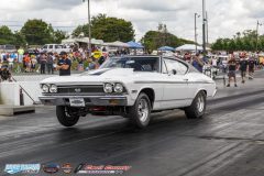 yellow-bullet-sat-166